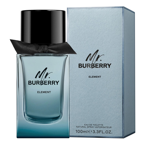 Burberry Mr Burberry Element For Men EDT 100Ml