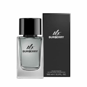 Burberry Mr. Burberry For Men Edt 100 ml Spray-Perfume