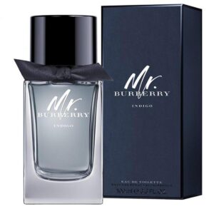 Burberry Mr Burberry Indigo For Men EDT 100Ml