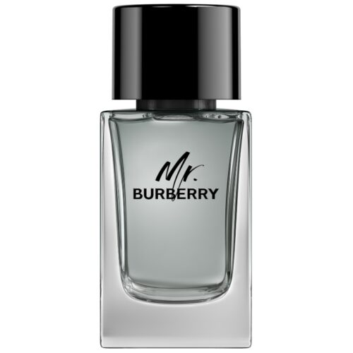 Burberry Mr. Burberry For Men Edt 100 ml Spray-Perfume