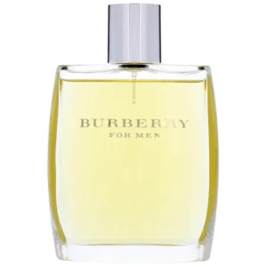 Burberry For Men EDT 100Ml by Burberry